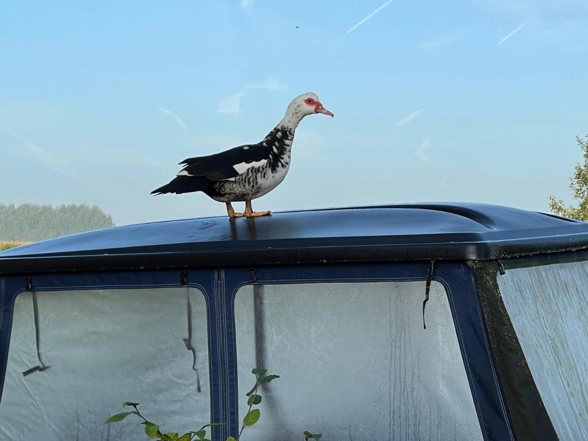 Parel Van Bever - Perle De Bievene Exterior foto